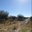  Grundstück zu verkaufen in San Luis Potosi, San Luis Potosi, San Luis Potosi, San Luis Potosi