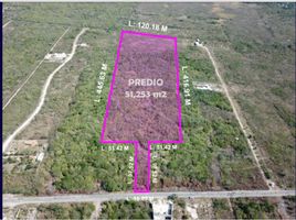  Land for sale in Tixpehual, Yucatan, Tixpehual