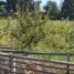  Terreno (Parcela) en venta en Chile, San Clemente, Talca, Maule, Chile