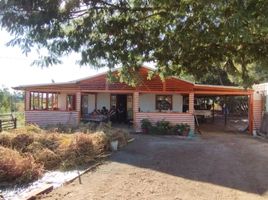  Terreno (Parcela) en venta en Chile, San Clemente, Talca, Maule, Chile