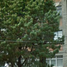 2 Bedroom Condo for sale in Miguel Hidalgo, Mexico City, Miguel Hidalgo, Mexico City, Mexico