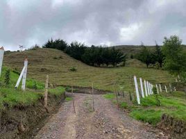  House for sale in Chinacota, Norte De Santander, Chinacota