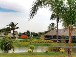  Terreno (Parcela) en venta en Chincha, Ica, El Carmen, Chincha