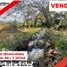  Land for sale in Huila, Rivera, Huila