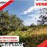  Land for sale in Huila, Rivera, Huila