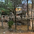  Terreno (Parcela) en venta en Cuajimalpa De Morelos, Ciudad de México, Cuajimalpa De Morelos