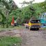  Land for sale in Minglanilla, Central Visayas, Minglanilla