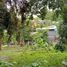  Land for sale in Minglanilla, Central Visayas, Minglanilla
