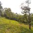  Land for sale in Ulu Selangor, Selangor, Batang Kali, Ulu Selangor