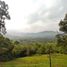  Land for sale in Batang Kali, Selangor, Batang Kali, Ulu Selangor