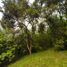  Land for sale in Ulu Selangor, Selangor, Batang Kali, Ulu Selangor