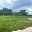  Terreno (Parcela) en venta en Calamba City, Calabarzon, Calamba City, Laguna, Calabarzon, Filipinas