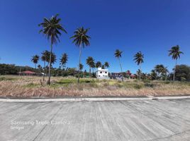  Grundstück zu verkaufen in Oriental Mindoro, Mimaropa, Puerto Galera