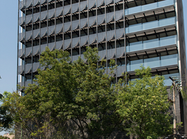 483 m2 Office for rent in Miguel Hidalgo, Mexico City, Miguel Hidalgo