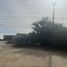  Grundstück zu verkaufen in La Paz, Baja California Sur, La Paz