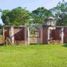  Terrain for sale in Maynas, Loreto, Iquitos, Maynas