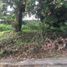  Terreno (Parcela) en venta en Cebu City, Central Visayas, Cebu City, Cebu