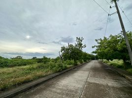  Terreno (Parcela) en venta en Lapu-Lapu City, Central Visayas, Lapu-Lapu City, Cebu