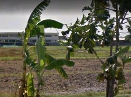  Land for sale in Capas, Tarlac, Capas