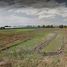  Land for sale in Tarlac, Central Luzon, Capas, Tarlac