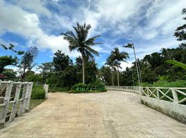  Land for sale in Cavite, Calabarzon, Alfonso, Cavite