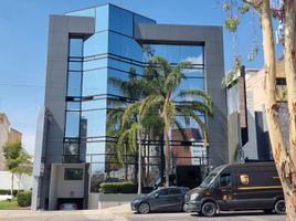 250 m² Office for rent in Leon, Guanajuato, Leon