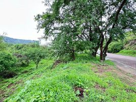 Terrain à vendre à Zapopan, Jalisco, Zapopan, Jalisco