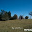  Land for sale in Ahuazotepec, Puebla, Ahuazotepec