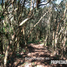  Land for sale in Ahuazotepec, Puebla, Ahuazotepec