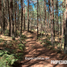  Land for sale in Ahuazotepec, Puebla, Ahuazotepec