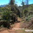  Land for sale in Ahuazotepec, Puebla, Ahuazotepec