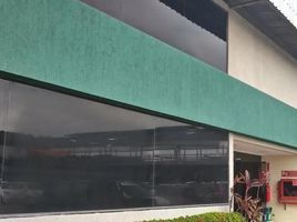 851 m² Office for rent in Ecuador, Guayaquil, Guayaquil, Guayas, Ecuador