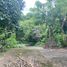  Land for sale in Cavite, Calabarzon, Tagaytay City, Cavite