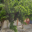 2 Bedroom House for sale in Tuxtla Gutierrez, Chiapas, Tuxtla Gutierrez, Chiapas