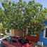 Maison à vendre à Saltillo, Coahuila, Saltillo, Coahuila