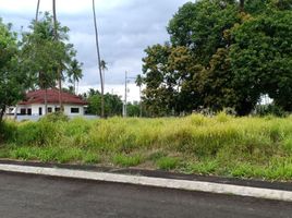  Land for sale in Tiaong, Quezon, Tiaong