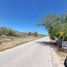  Land for sale in Yobain, Yucatan, Yobain