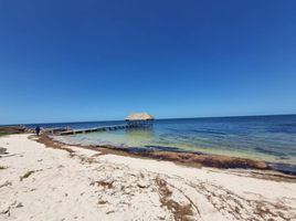  Land for sale in Yobain, Yucatan, Yobain