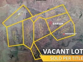  Terrain for sale in Gapan City, Nueva Ecija, Gapan City