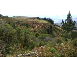  Terreno (Parcela) en venta en Ibarra, Imbabura, San Miguel De Ibarra, Ibarra