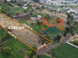  Land for sale in Cevallos, Tungurahua, Cevallos, Cevallos