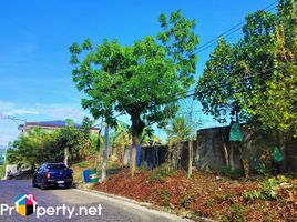 Terrain à vendre à Cebu City, Central Visayas, Cebu City, Cebu, Central Visayas, Philippines