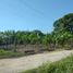  Land for sale in Jalpa De Mendez, Tabasco, Jalpa De Mendez, Tabasco