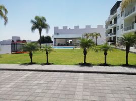 2 Schlafzimmer Appartement zu vermieten in Queretaro, Queretaro, Queretaro, Queretaro