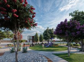  Land for sale in Juarez, Chihuahua, Juarez