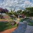  Land for sale in Juarez, Chihuahua, Juarez