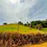 Terrain à vendre à Rionegro, Antioquia, Rionegro, Antioquia