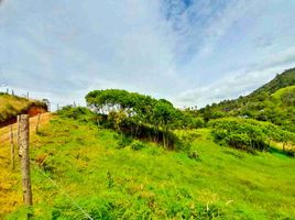Terrain à vendre à Rionegro, Antioquia, Rionegro, Antioquia