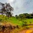 Terrain à vendre à Rionegro, Antioquia, Rionegro, Antioquia