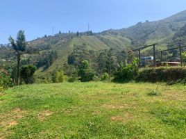  Land for sale in Envigado, Antioquia, Envigado